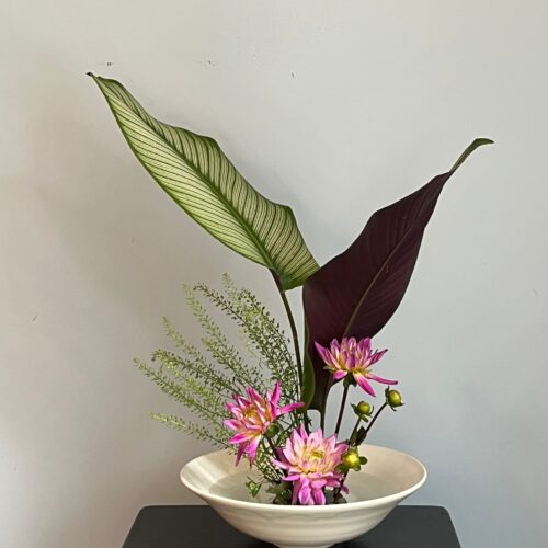 Cours du mardi 28 octobre PM