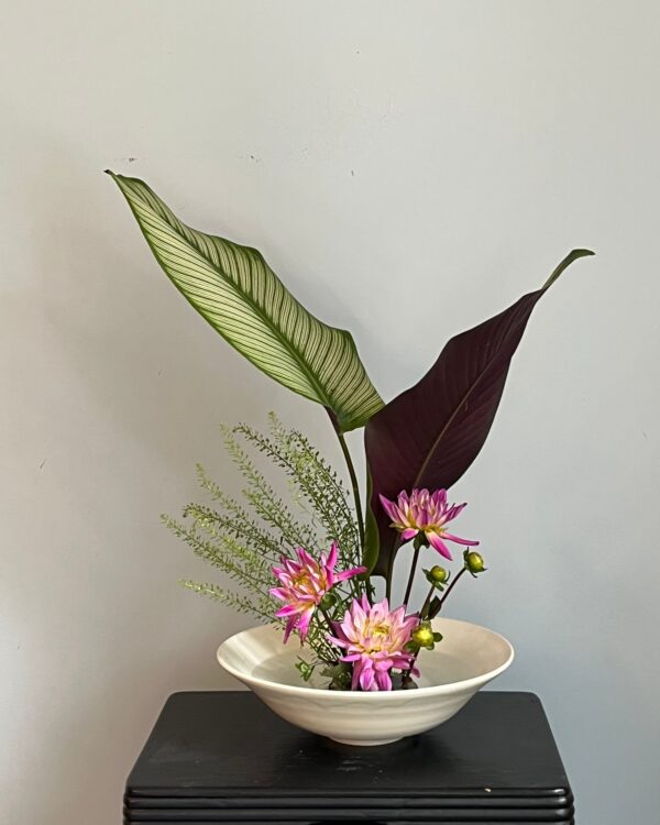 559942467_1165253655702891_7215023673196166321_n Cours du mardi 28 octobre PM